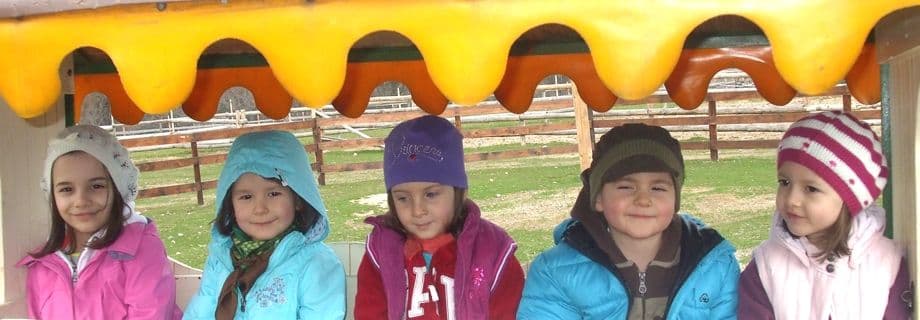 Fotografie din activitatea Grădiniței Kinderfreude, Cluj-Napoca (4)